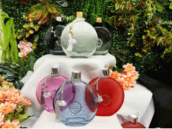 SP - DIFUSOR DE AROMA - 500 ML 