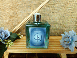CN - DIFUSOR DE AROMA CASA NOVA