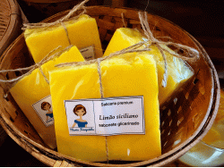 SP - LIMÃO SICILIANO